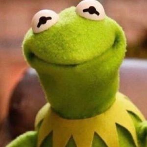 Meet your Posher, Pablo